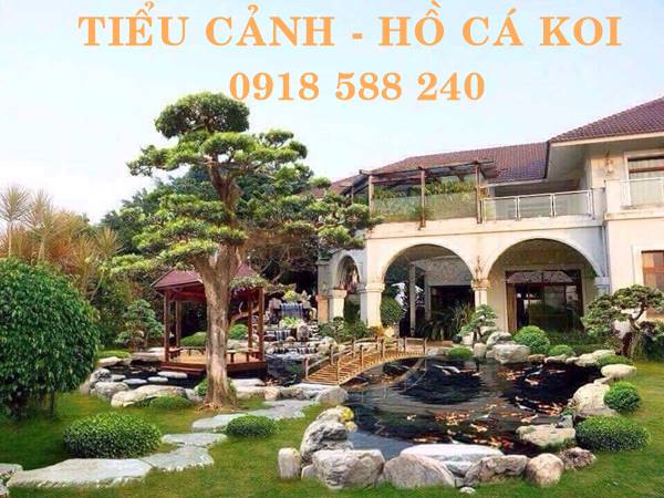 Thiết kế thi công hồ cá Koi tại Hưng Hà
