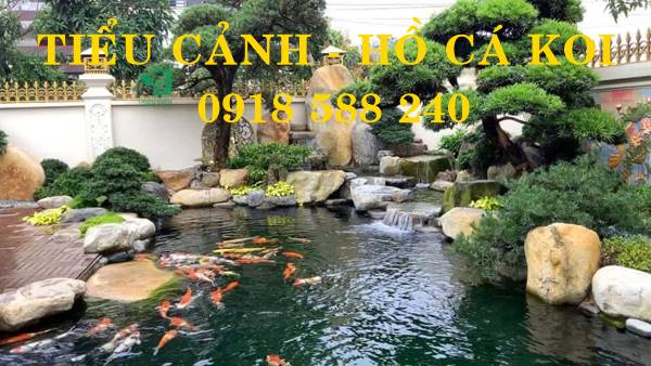 Thiết kế thi công hồ cá Koi tại Hưng Hà